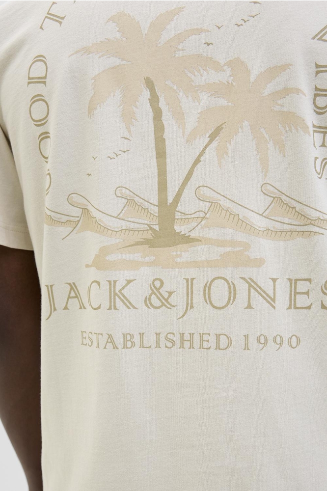 JJSUMMER VIBES TEE SS CREW NECK 12269372 MOONBEAM